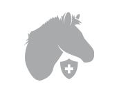 Horse with medical shield Icon